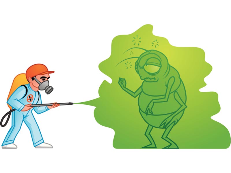 Kammerjäger in Münster - Schaedlingsentfernung Kammerjäger in Münster - Schaedlingsentfernung